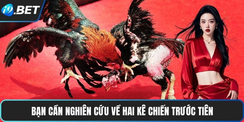 Bạn cần nghiên cứu về hai kê chiến trước tiên