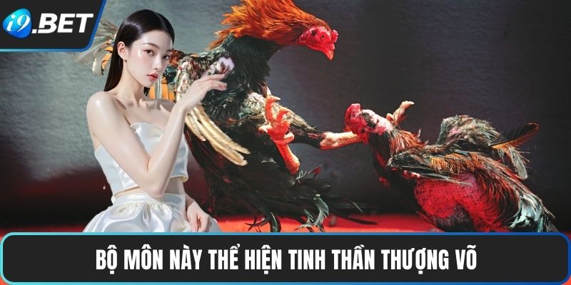 Đá Gà Đòn | Trận Đấu Chiến Thuật, Gay Cấn Từng Giây 3 Bộ môn này thể hiện tinh thần thượng võ