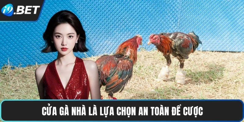 Cửa gà Nhà là lựa chọn an toàn để cược