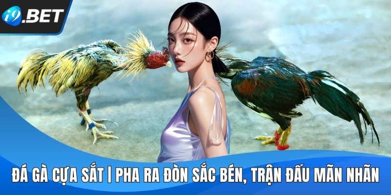 Đá Gà Cựa Sắt