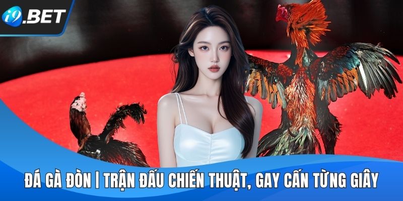 Đá Gà Đòn