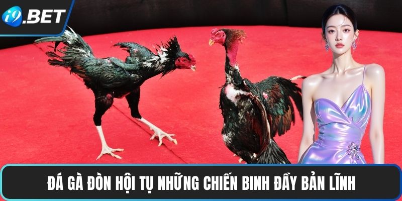 Đá Gà Đòn | Trận Đấu Chiến Thuật, Gay Cấn Từng Giây 2 Đá Gà Đòn hội tụ những chiến binh đầy bản lĩnh